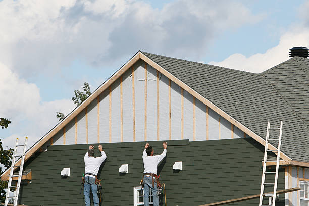 Affordable Siding Repair and Maintenance Services in Forest, OH